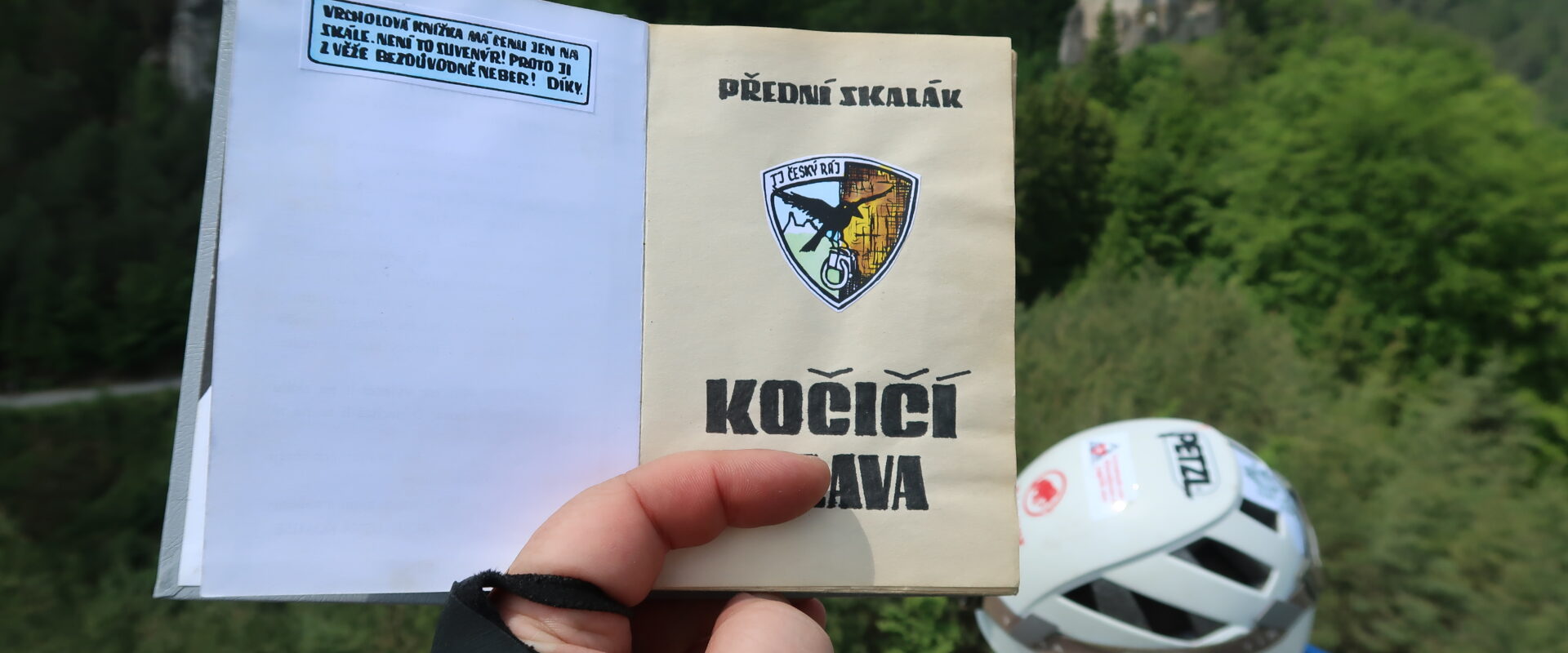 Kočičí hlava